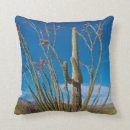 Suche nach arizona kissen Tucson