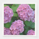 Recherche de hortensia serviettes Botanique