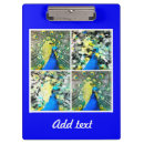 Recherche de plumes porte blocs Plumes de paon