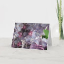 Recherche de adorable vœux cartes D'anniversaire
