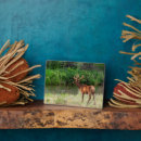 Suche nach buller fotoplatten Grenze danita