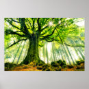 Recherche de becher posters Nature