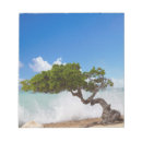 Recherche de beach blocsnotes Île