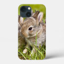 Suche nach rabbit iphone hüllen Niedlich