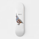 Recherche de montagnes skateboards Oiseau