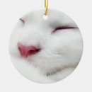 Recherche de de visage ornements Blanc