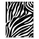 Suche nach zebra foto poster Tiermuster