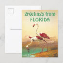 Suche nach florida flamingos postkarten Retro