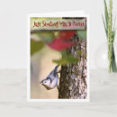 Recherche de chanson photographie Oiseaux