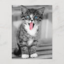 Suche nach babytiere postkarten Niedliche tiere