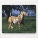 Suche nach malen sie pferde mousepads Foto