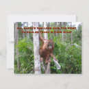 Suche nach plastik karten Umwelt