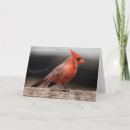 Suche nach nordisch karten Fotografie