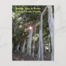 Recherche de bananier cartes postales Arbre