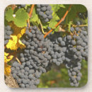 Suche nach merlot untersetzer Weingut