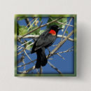 Suche nach schwarzer vogel buttons Amsel