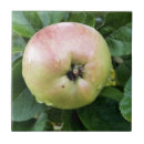 Suche nach apple fliesen Obst