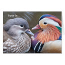 Suche nach gefieder postkarten Wild lebende tiere