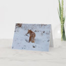 Suche nach winterfuchs karten Natur