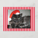Recherche de christmas cat cartes postales Salutations