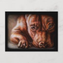 Suche nach dog portrait postkarten Hund