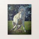 Suche nach pony puzzle Wild