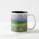 Recherche de champ de blé tasses Été