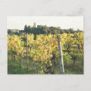 Recherche de toscane cartes postales Vignoble