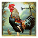 Suche nach wyandotten poster Geflügel