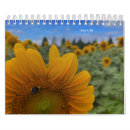 Suche nach sonnenblumen kalender Gelb