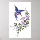 Suche nach kolibris poster Blumig