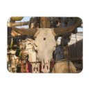 Recherche de crânes magnets Vache