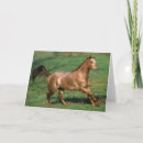 Suche nach appaloosa karten Bob langrish