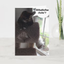 Suche nach leere katze karten Lustig