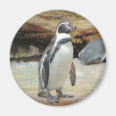 Recherche de incapable de voler Antarctique