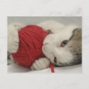 Suche nach ich beiße postkarten Horizontal