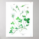 Recherche de trèfle chanceux posters Vintage