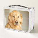 Suche nach golden retriever brotdose brotdosen Gelbschildkröte