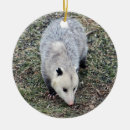 Recherche de opossum ornements Animal