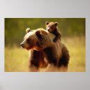 Recherche de emotions posters Nature