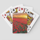 Suche nach tulpen spielkarten Blüte