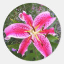 Recherche de de lis autocollants Jardin