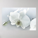Suche nach orchidee kunst Für sie