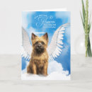 Recherche de cairn terrier maison deco Cairns