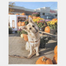Suche nach hirten decken Gsd