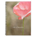 Recherche de pavot photographie Fleurs