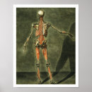 Suche nach bedingung poster Gautier