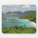 Recherche de les antilles tapis souris Tropicale