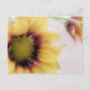 Suche nach vielseitig postkarten Blume