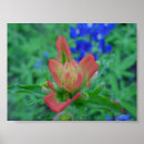 Suche nach malerpinsel poster Wildblumen